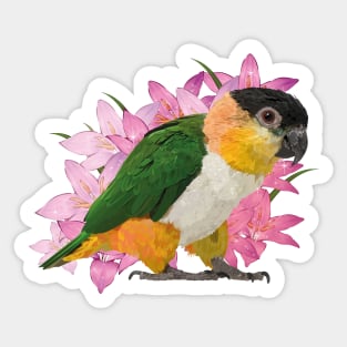 Caique Sticker